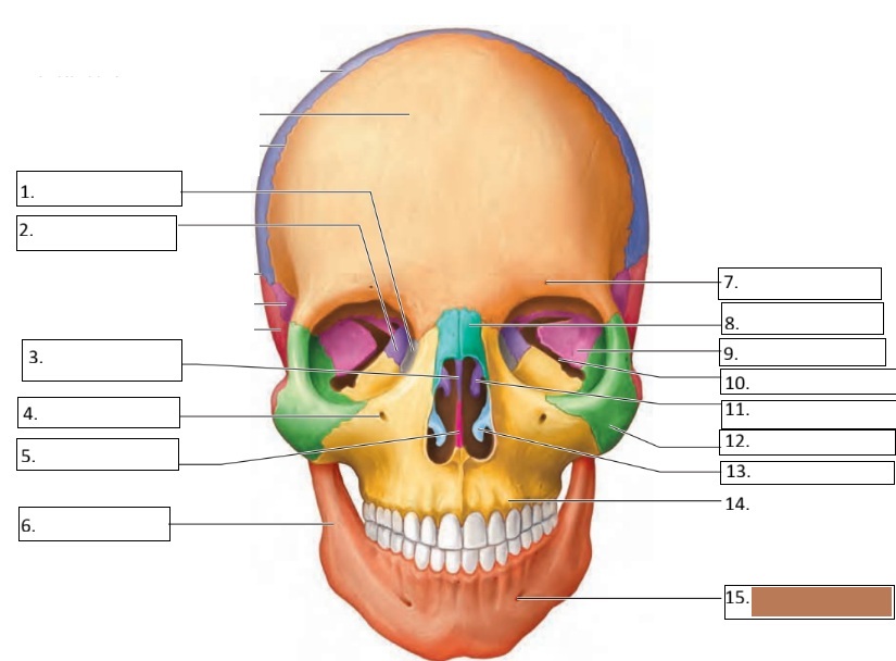 <p>15</p>