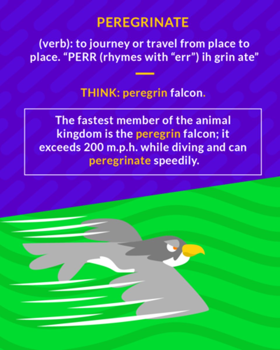 <p>(verb) to travel</p>