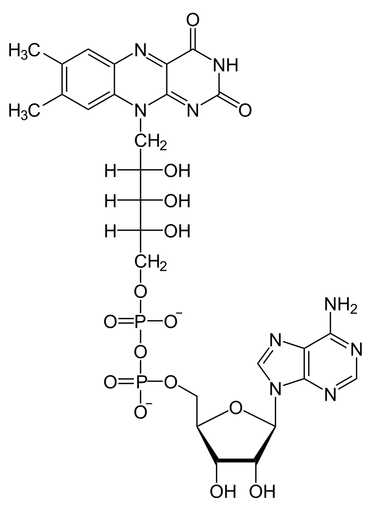 <p>redokso reakcijos, energijos išgavimas</p>