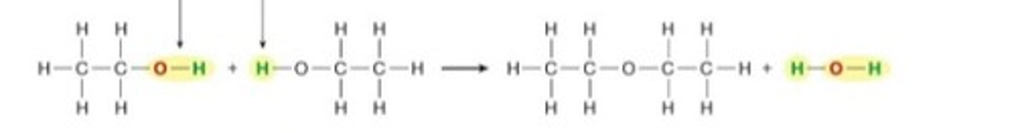 <p>2 alcohols form to make ether and H2O</p>