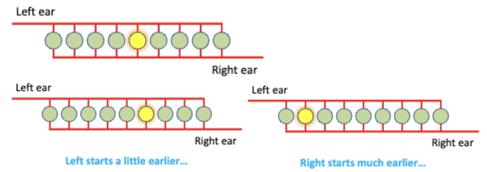 <p>A model explaining how neurons fire based on timing of sound signals from both ears.</p><ul><li><p>Neurons are receiving signals from both the left and right ears but those signals are coming from different directions.</p></li><li><p>To make them fire, they have to get two signals at once</p></li><li><p>Looking at when those two meet in the middle, then making the neuron fire, meaning the sounds are starting at the same time</p><ul><li><p>The two sounds are not normally coming in at the same time</p></li></ul></li><li><p>The signal / ear that starts earlier, makes a neuron fire that is more over on the opposite side from where the sound started</p></li></ul><p></p>
