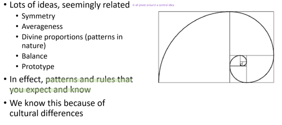 <p>universally prefer facial symmetry </p>