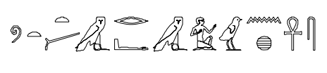 term image