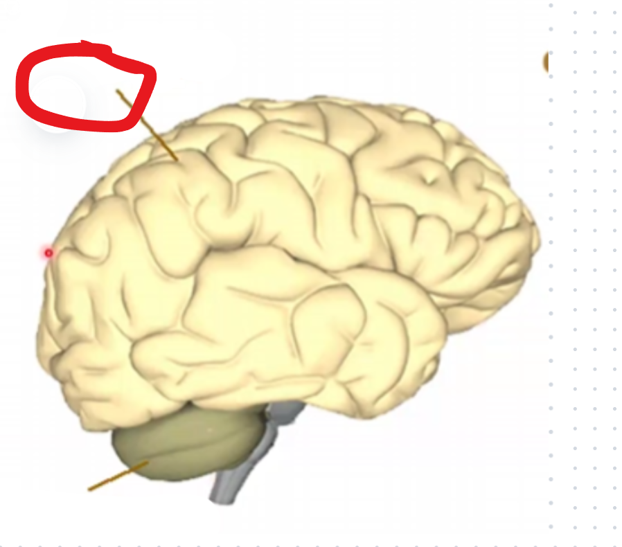 <p></p>
