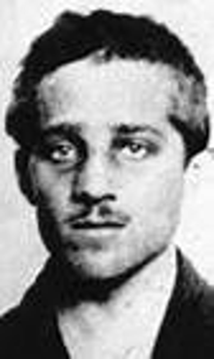<p>Gavrillo Princip, a member of Black Hand.</p>
