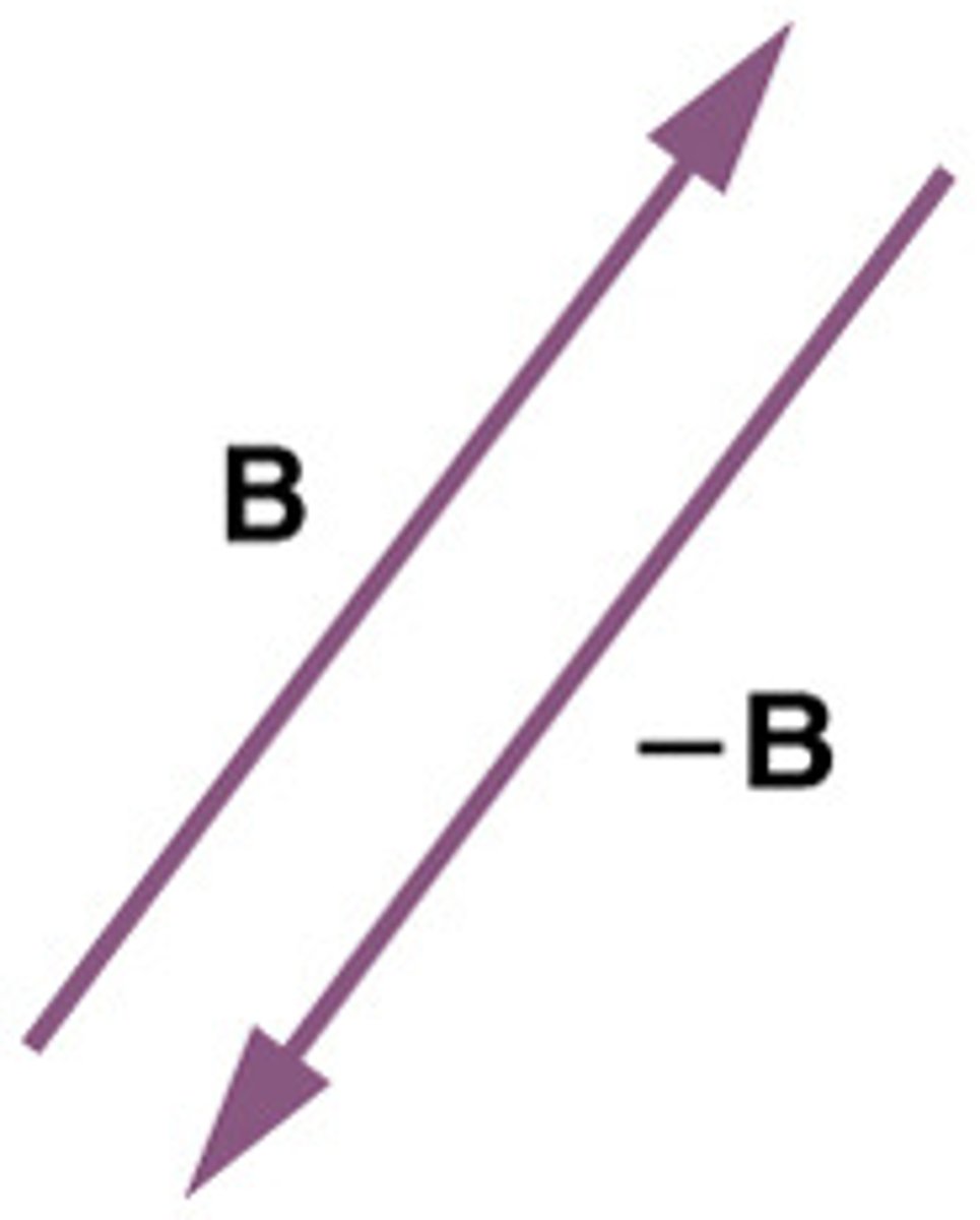 <p>A vector with the same magnitude as the original but in the opposite direction.</p>