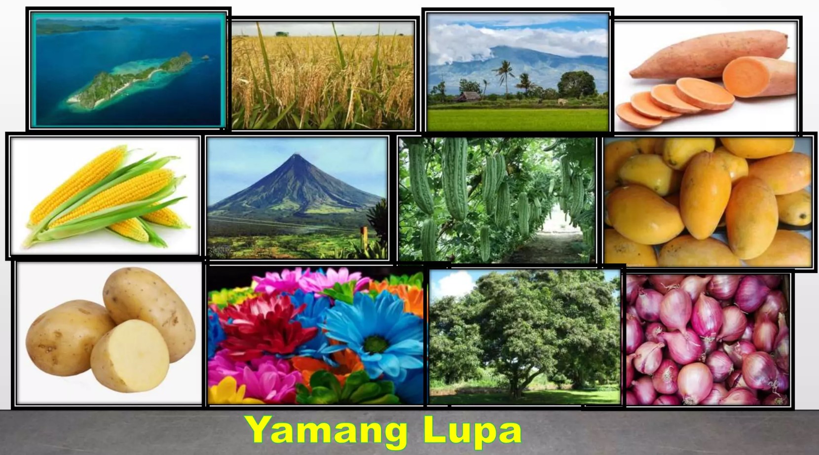 <p><strong>A:</strong> Likas-yaman mula sa sakahan, bundok, at taniman.</p>