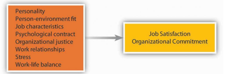 <p>Personality</p><p>Person-enviornment fit</p><p>Job characteristics</p><p>Psychological contract</p><p>Organizational justice</p><p>Work Relationships</p><p>Stress</p><p>Work-life balance</p>