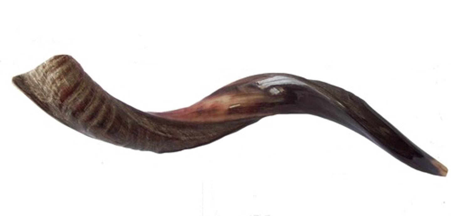 <p>- This is one type of horn made from the horn of the kudu antelope. It releases a mellow and warm sound that adds a unique African accent to the music.</p>