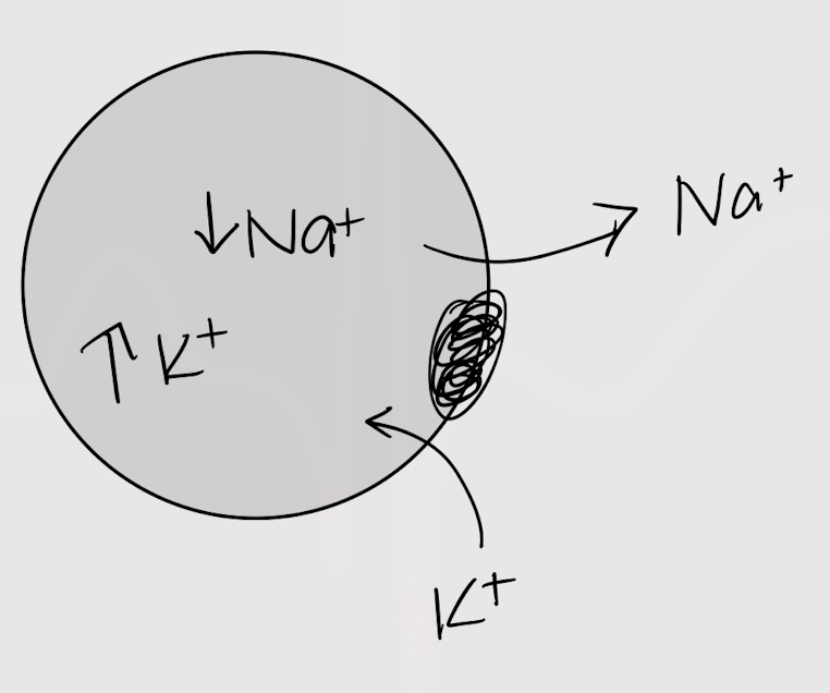 <p>into</p>