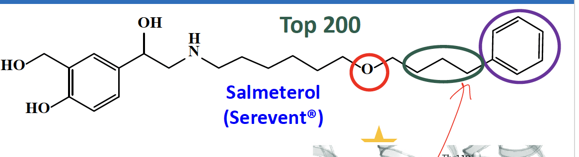 <p>salmeterol </p><ul><li><p>used in combination with inhaled corticosteroid (ICS) in asthma and COPD</p><ul><li><p>lipophilic nature</p></li><li><p>when the receptor is activated by albuterol at first, its long chain anchors onto another pocket within the receptor via a hydrogen bond, pi-pi, hydrophobic bond. </p></li></ul></li><li><p>use of this without concomitant use of ICS increase the risk of asthma-related death </p></li></ul><p></p>