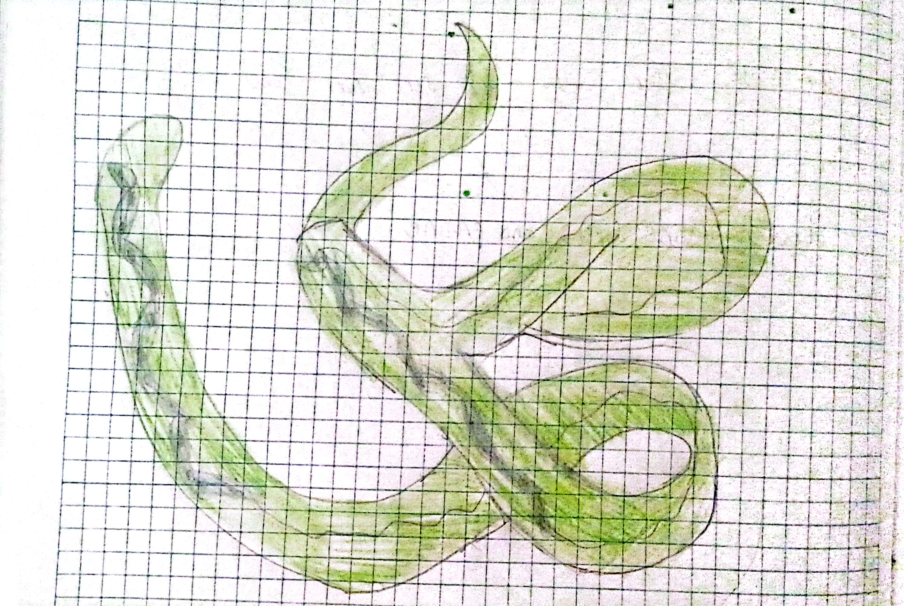 <p>Occurs when certain attractions are present between alpha helices and pleated sheets.</p>