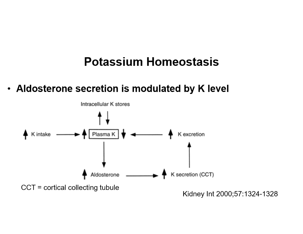 <p>Potassium</p>