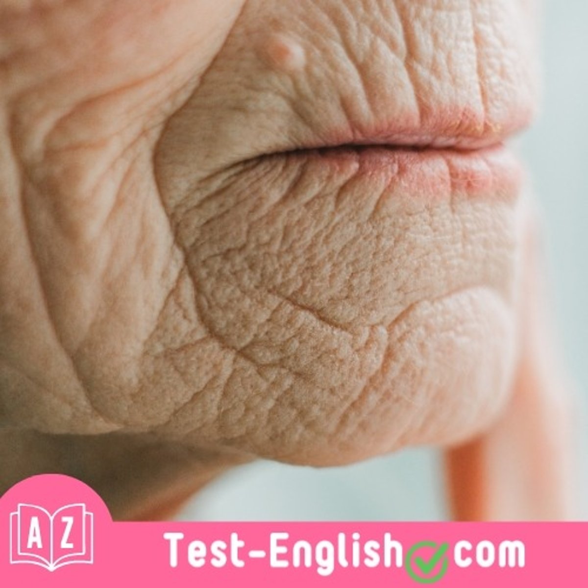 <p>She has _____s on her face because she is old.</p>