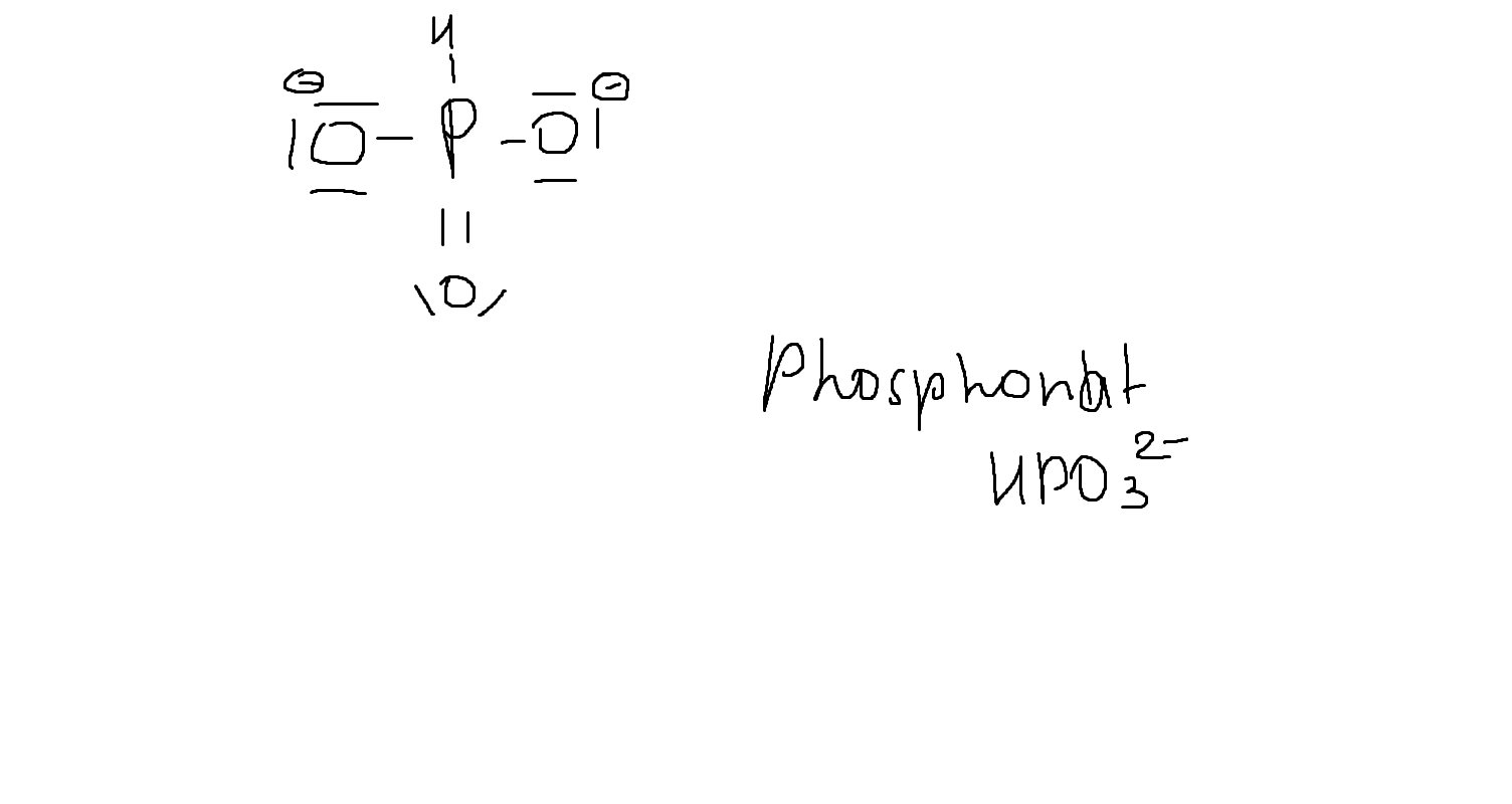 <p>Welche Anion ist das</p>