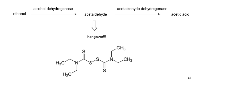 <ul><li><p><span style="background-color: transparent;">Blocks aldehyde dehydrogenase</span></p></li><li><p><span style="background-color: transparent;">Generates rapid and severe hangover when drinking&nbsp;</span></p></li></ul><p></p>