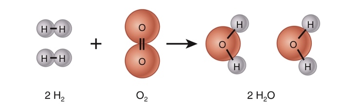 <p>What are the 2H20 substances called?</p>