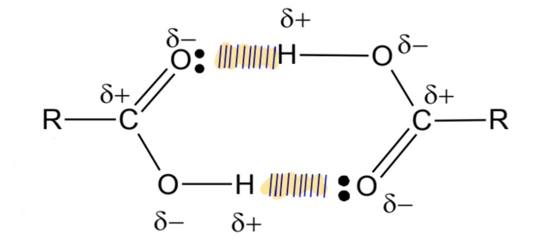 <ul><li><p>in the liquid state or in organic solvents, pairs of carboxylic acids molecules are joined together by strong hydrogen bonds to form dimers</p></li><li><p>carboxylic acids do not form dimers in aqueous state: water molecules preferentially form hydrogen bonds with the carboxylic acid molecules, disrupting the formation of carboxylic acid dimers</p></li></ul><p></p>