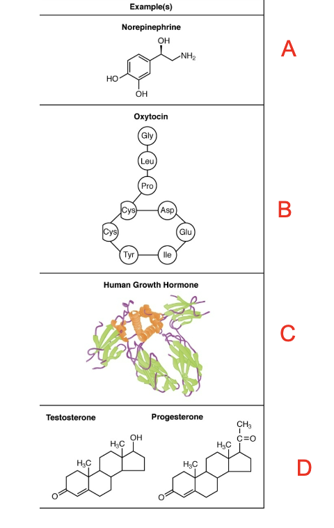 <p>which hormone shown is a steroid?</p>