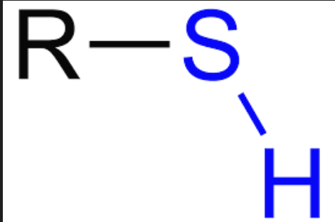 <p>Sulfhydryl group</p>