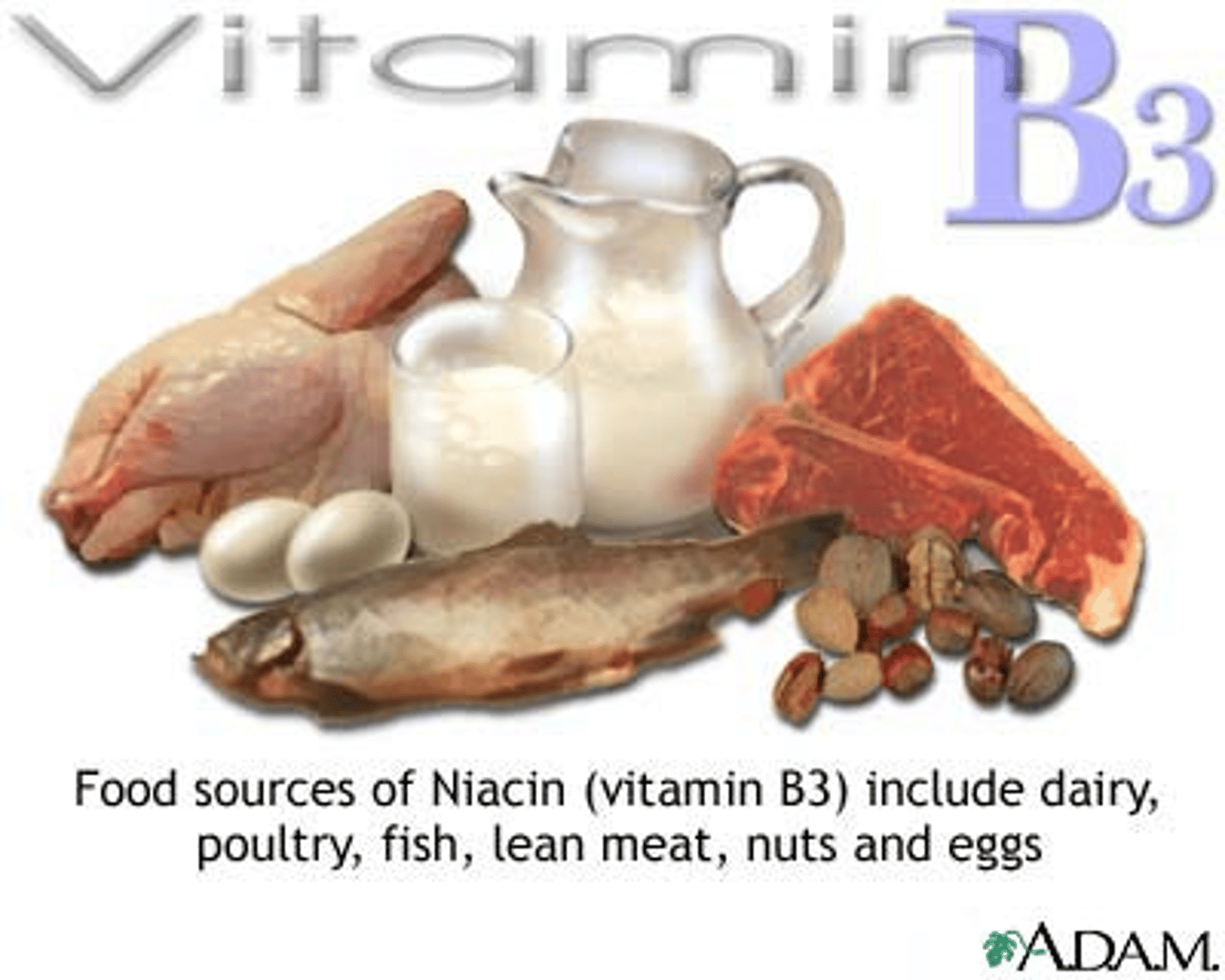 <p>poultry, fish, lean meat, eggs, dairy, and nuts</p>