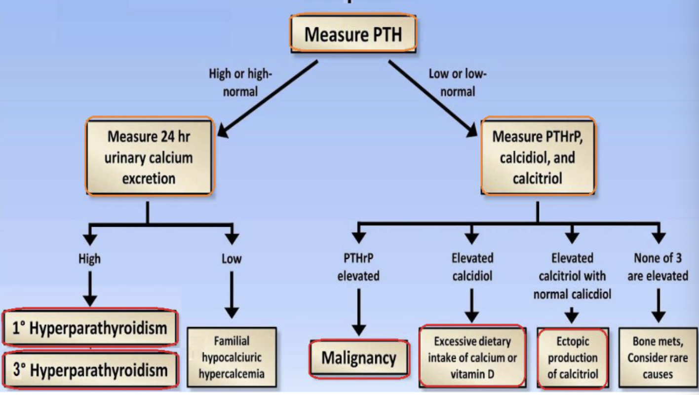 <p>total [Ca<sup>2+</sup>] &amp; iCa<sup>2+ </sup>high. critical (panic): total [Ca<sup>2+</sup>] &gt; 15mg/dL. often asymptomatic. arrhythmias &amp; cardiac arrest.&nbsp;neuromuscular irritability (major): weakness, lethargy. groans (confusion, depression), bone (demineralization/fracture from high resorption), moans (constipation → abdominal pain, N/V), &amp; kidney stones </p>