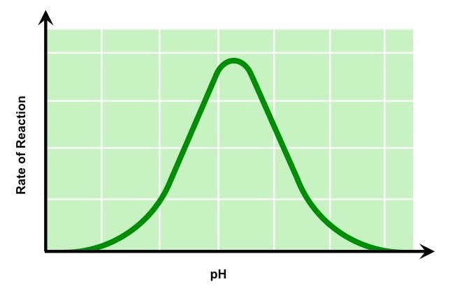 <p>pH Graph</p>