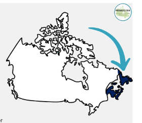 <p>Appalachian Mountains</p>