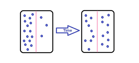 <p>What is shown in the following image? Choose all correct answers. (blue circles are solute)</p><p>a.&nbsp;&nbsp;&nbsp;&nbsp;&nbsp; Osmosis</p><p>b.&nbsp;&nbsp;&nbsp;&nbsp;&nbsp; Diffusion</p><p>c.&nbsp;&nbsp;&nbsp;&nbsp;&nbsp;&nbsp; Passive Transport</p><p>d.       Active Transport</p>
