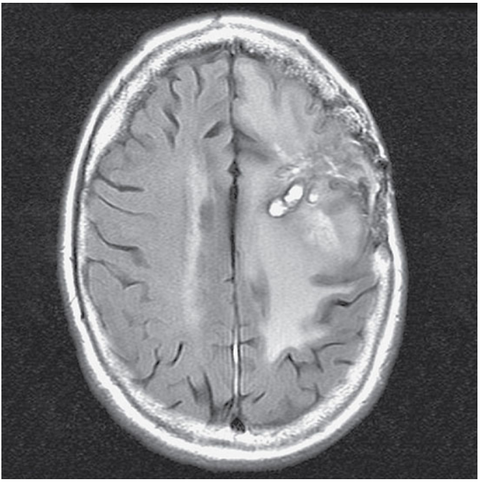 <p>What does this image show?</p>