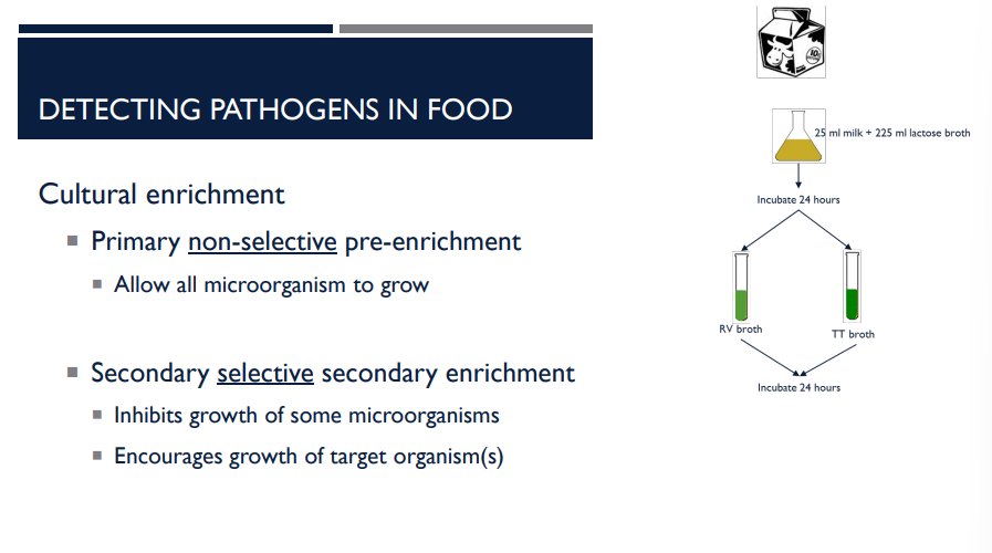 <p> </p><p>Detecting pathogens in food requires special techniques (enrichment, selective media, molecular tests) because they are rare, stressed, and “invisible”. Describe secondary&nbsp;<u>selective</u> pre-enrichment.</p>