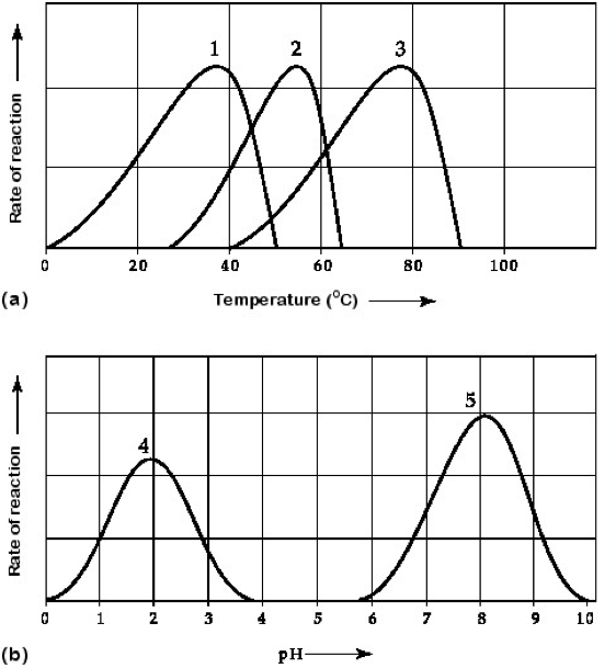 <p>Which curves on the graphs in figure 6.3 may represent the temperature and pH profiles of an enzyme taken from a bacterium that lives in a mildly alkaline hot spring at temperatures of 70C or higher?</p>