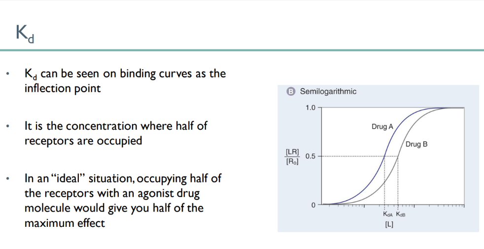 <p>the INFLECTION point </p><p>KD = 50% are bound, so 50% of maximum effect! </p>