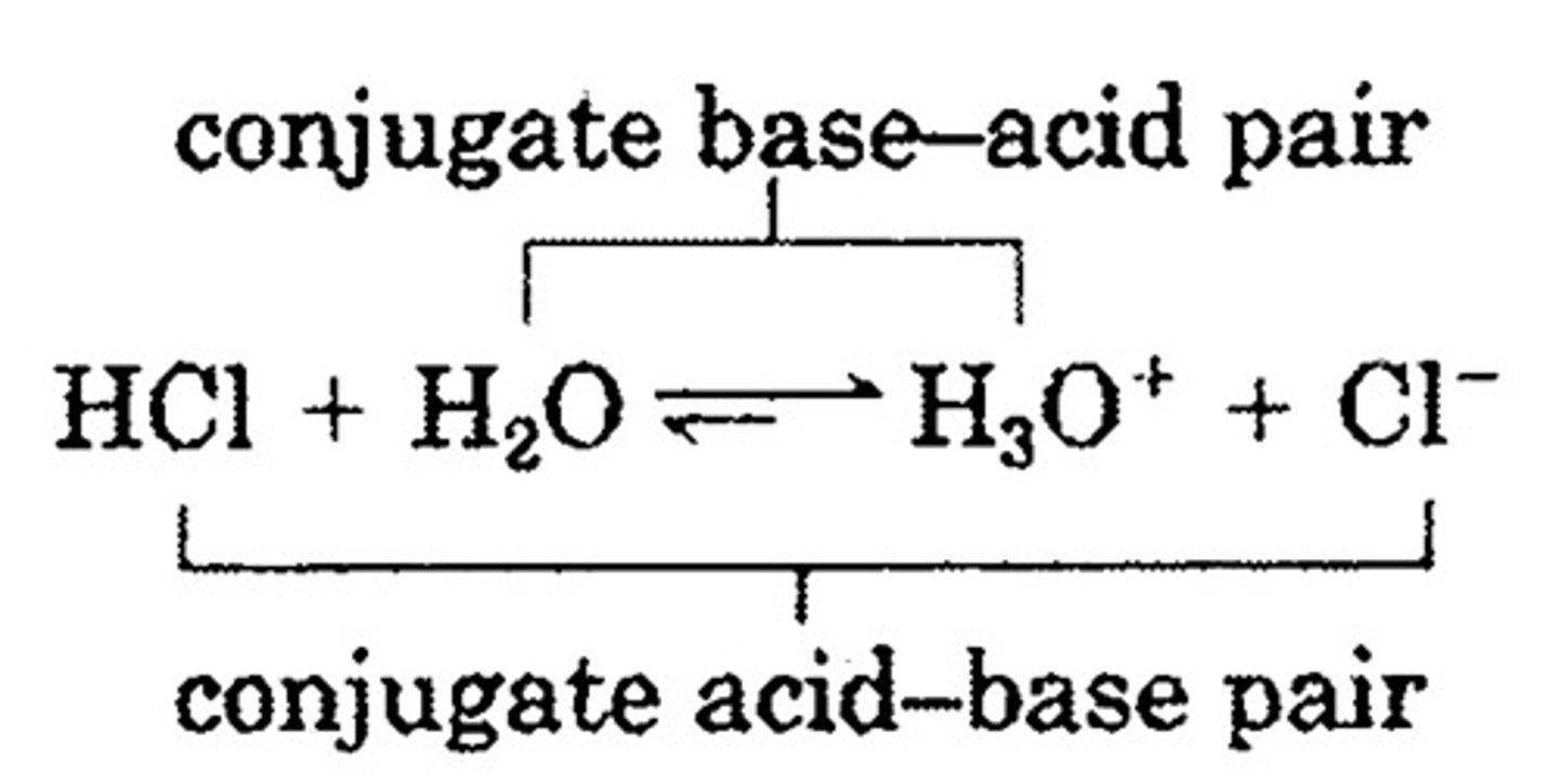 <p>proton acceptor</p>