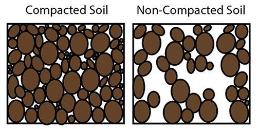 reduction in volume of sediments resulting from weight of newly deposited sediments above.
