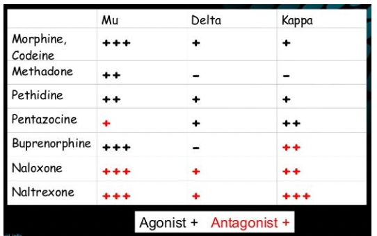 <p>Mu, Delta, and Kappa</p>