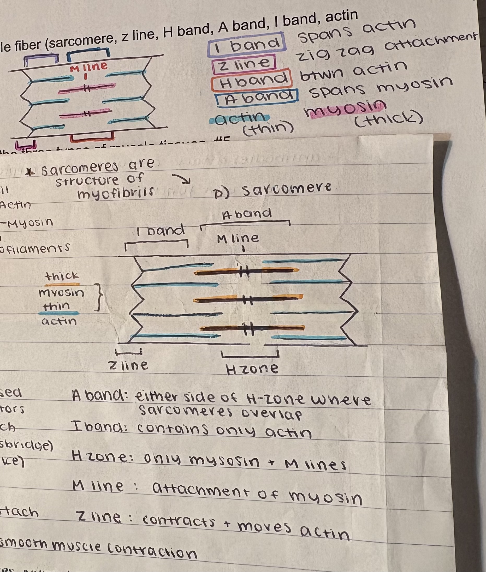 <p>enjoy my beautiful drawing</p>