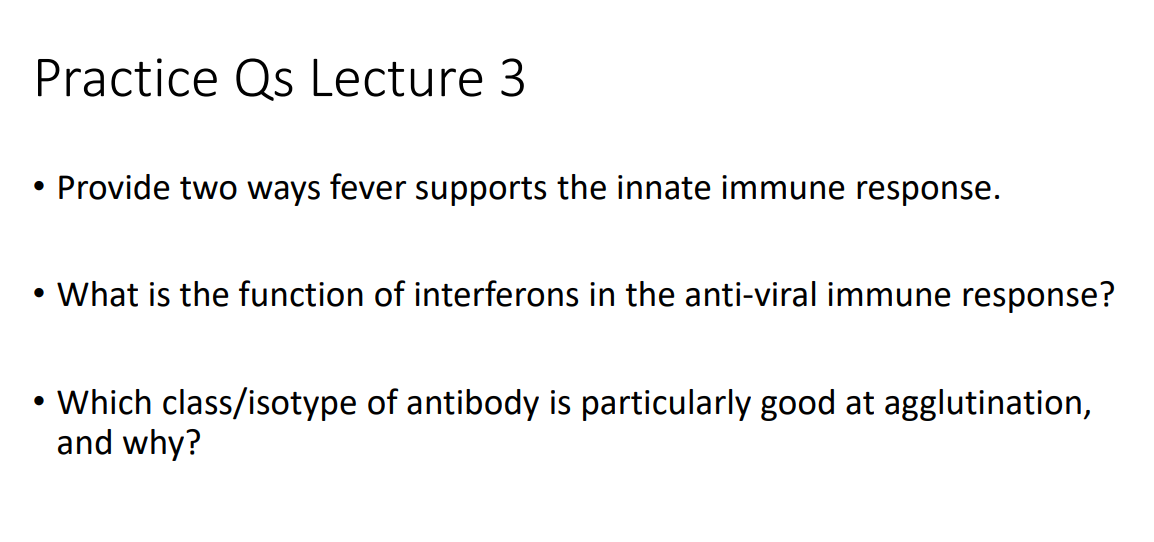 <p>Practice Qs Lecture 3</p>