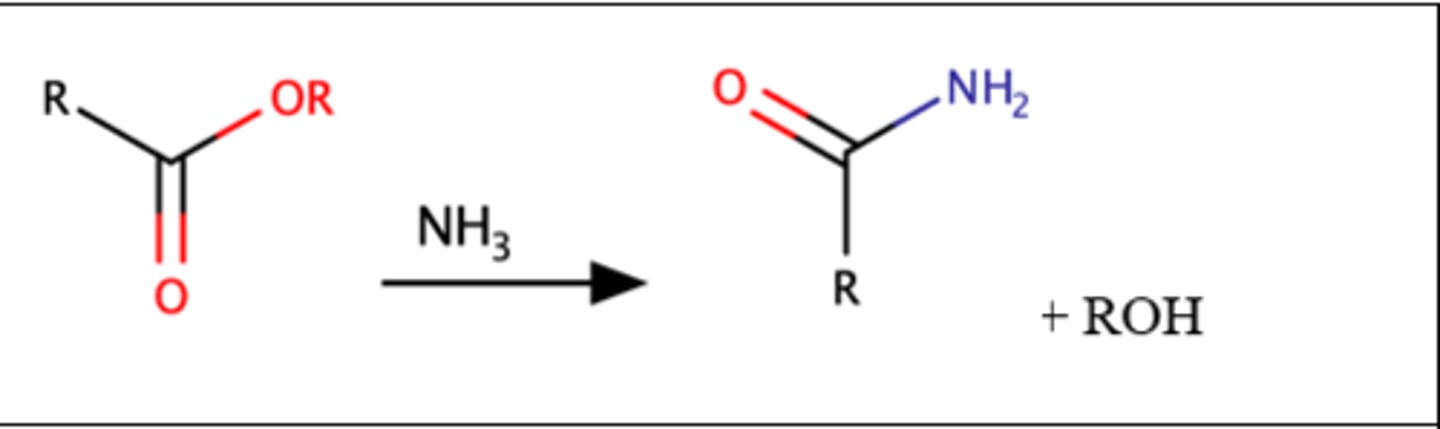 <p>Ester + amines = Amides</p>