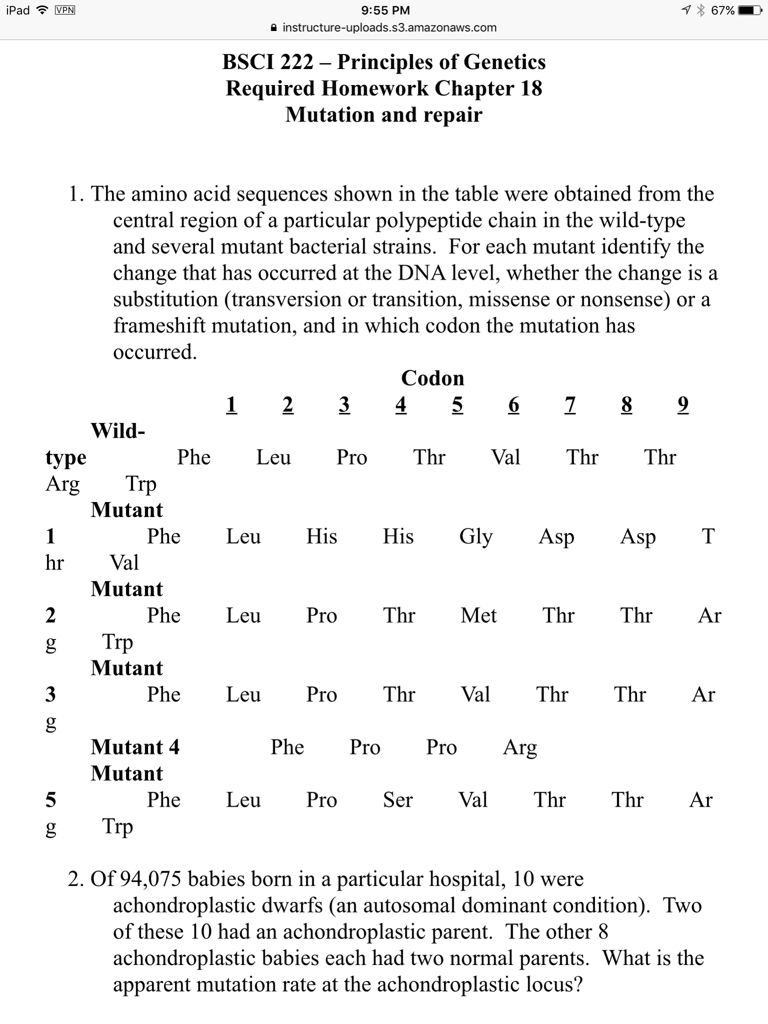 <p>the amino acid sequence shown in the following table was obtained from the center region of a patticular polypeptide chain in the wild type and several mutant bacteria stains : see image, for each mutant say what change has occurred at the DNA level, whether the change is a base-pair substitution mutation(transversion or transition,missense or nonsense) or a frameshift mutation ,and in which codon the  mutation occurred .(refer to codon dictionary)</p>