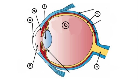 <p>1</p>