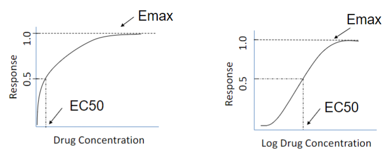 <ul><li><p>Emax: maximal response achieved by an agonist (efficacy)</p></li><li><p>EC50: drug conc at 50% of Emax (potency)</p><ul><li><p>ED50: 50% of max effective dose</p></li><li><p>affinity (strength of interaction btwn target and drug)</p><ul><li><p>Kd</p></li></ul></li></ul></li></ul>