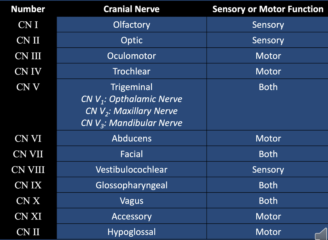 <p>fill in this chart </p>