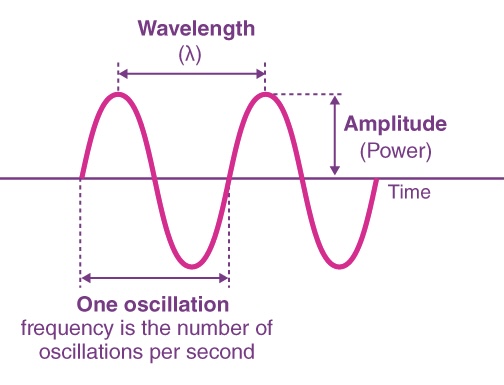 <p>AMPLITUDE</p>