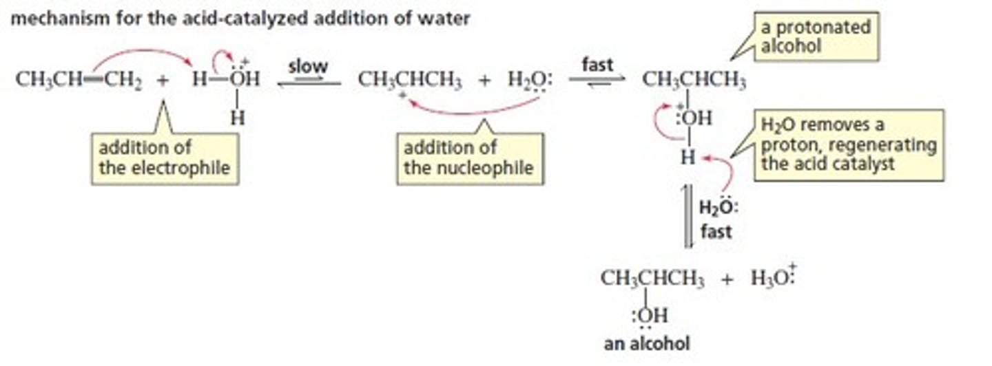 <p>Follows Markovnikov's rule</p>