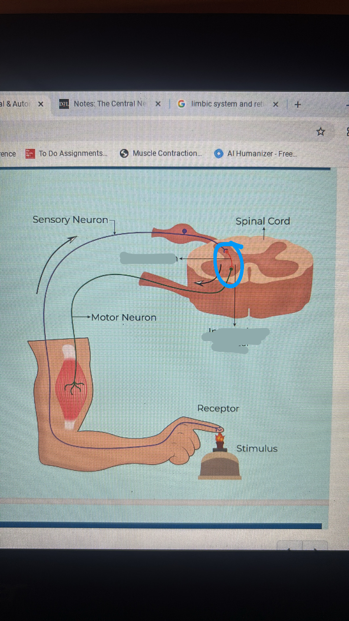 knowt flashcard image