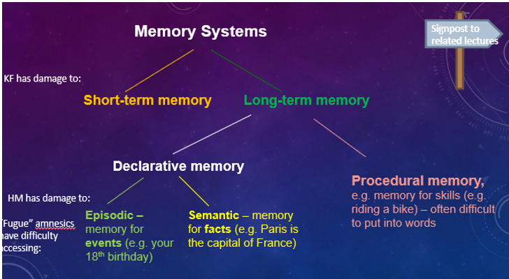 <p>A type of long-term memory that involves recollection of specific events and experiences.</p>