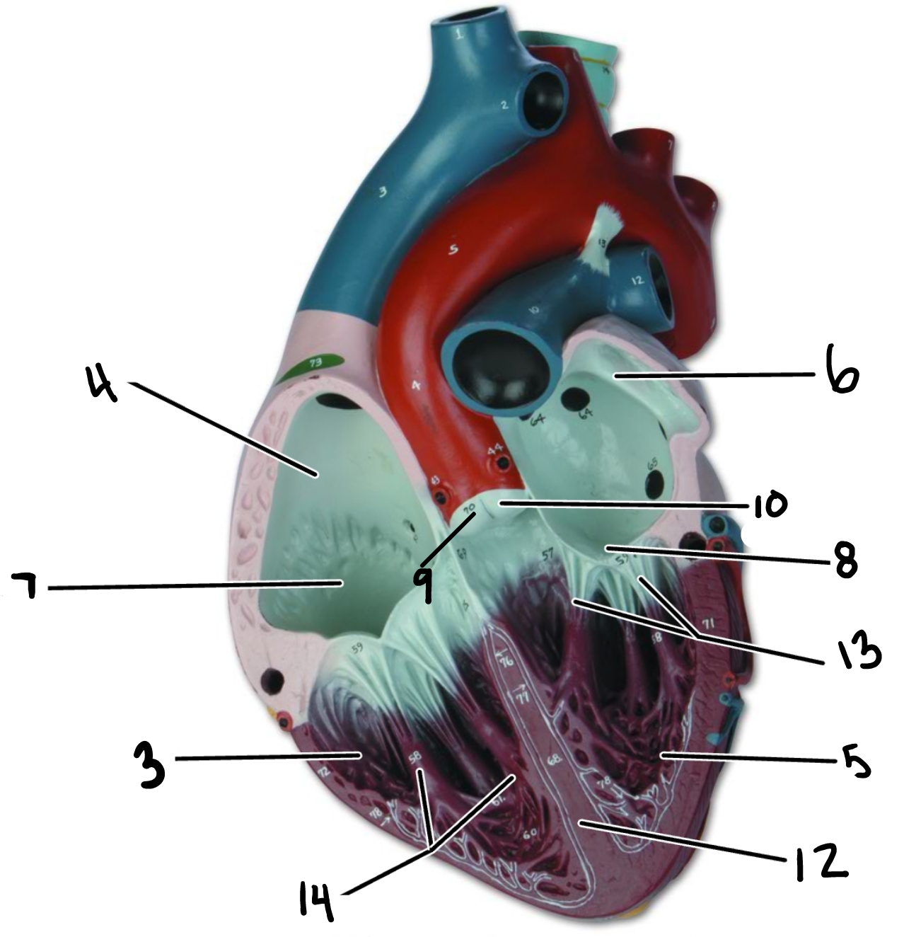 <p>5</p>