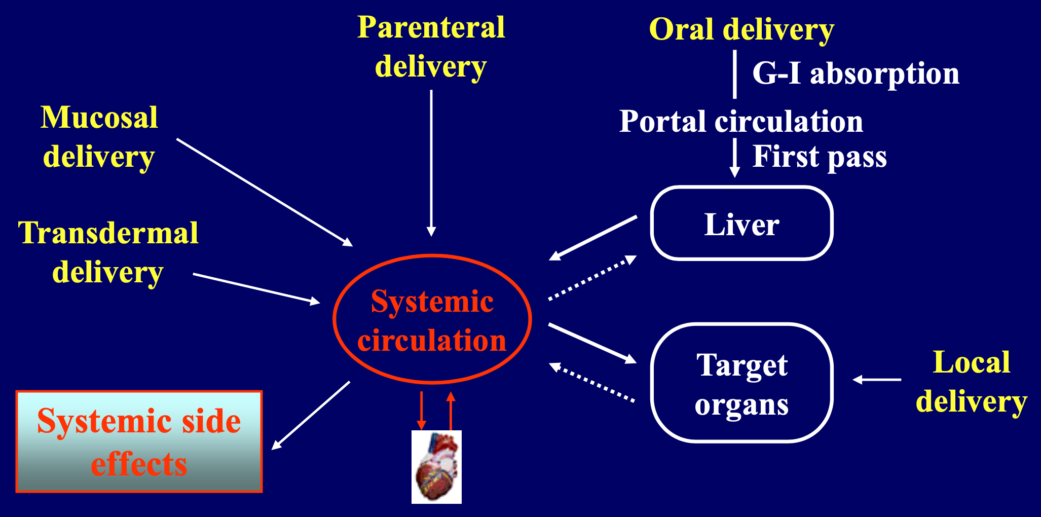 Reaches systemic circulation ultimately inducing side effects in cardiovascular system and other organs