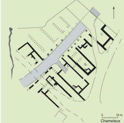 <p>Chameleux</p>